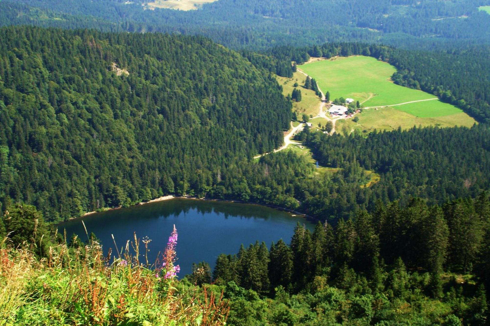 Ferienwohnung Regina Furtwangen Luaran gambar