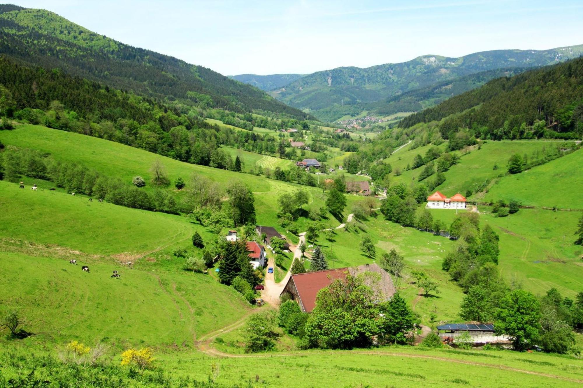Ferienwohnung Regina Furtwangen Luaran gambar