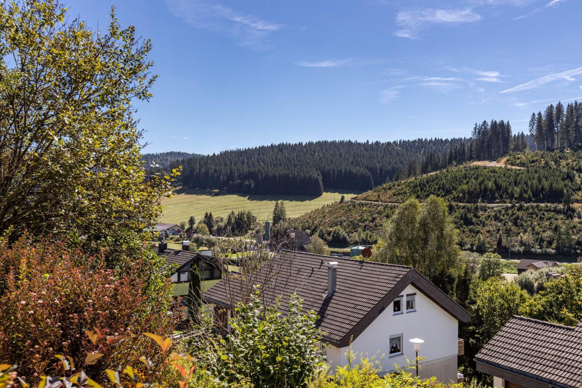 Ferienwohnung Regina Furtwangen Luaran gambar