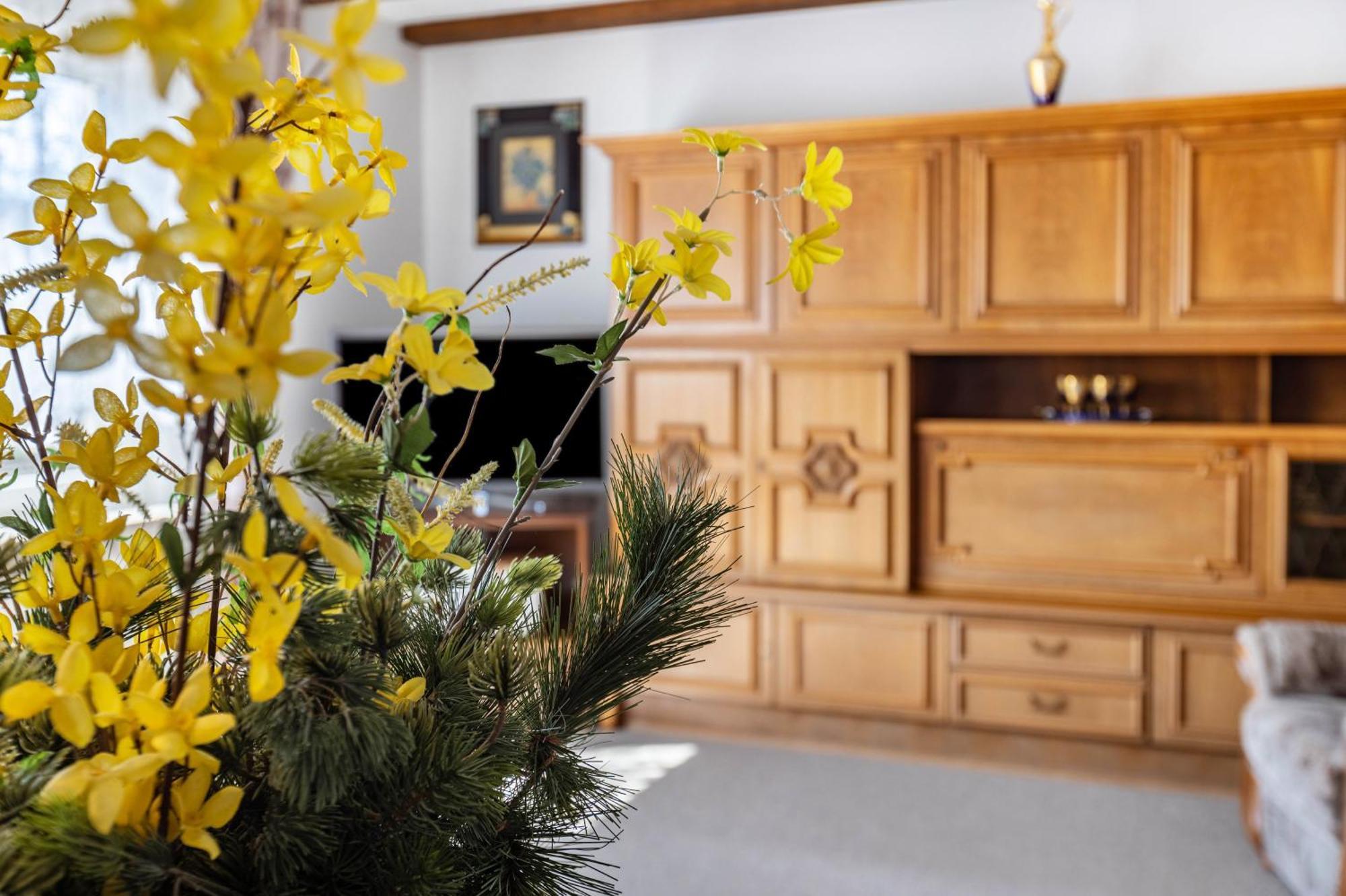 Ferienwohnung Regina Furtwangen Luaran gambar