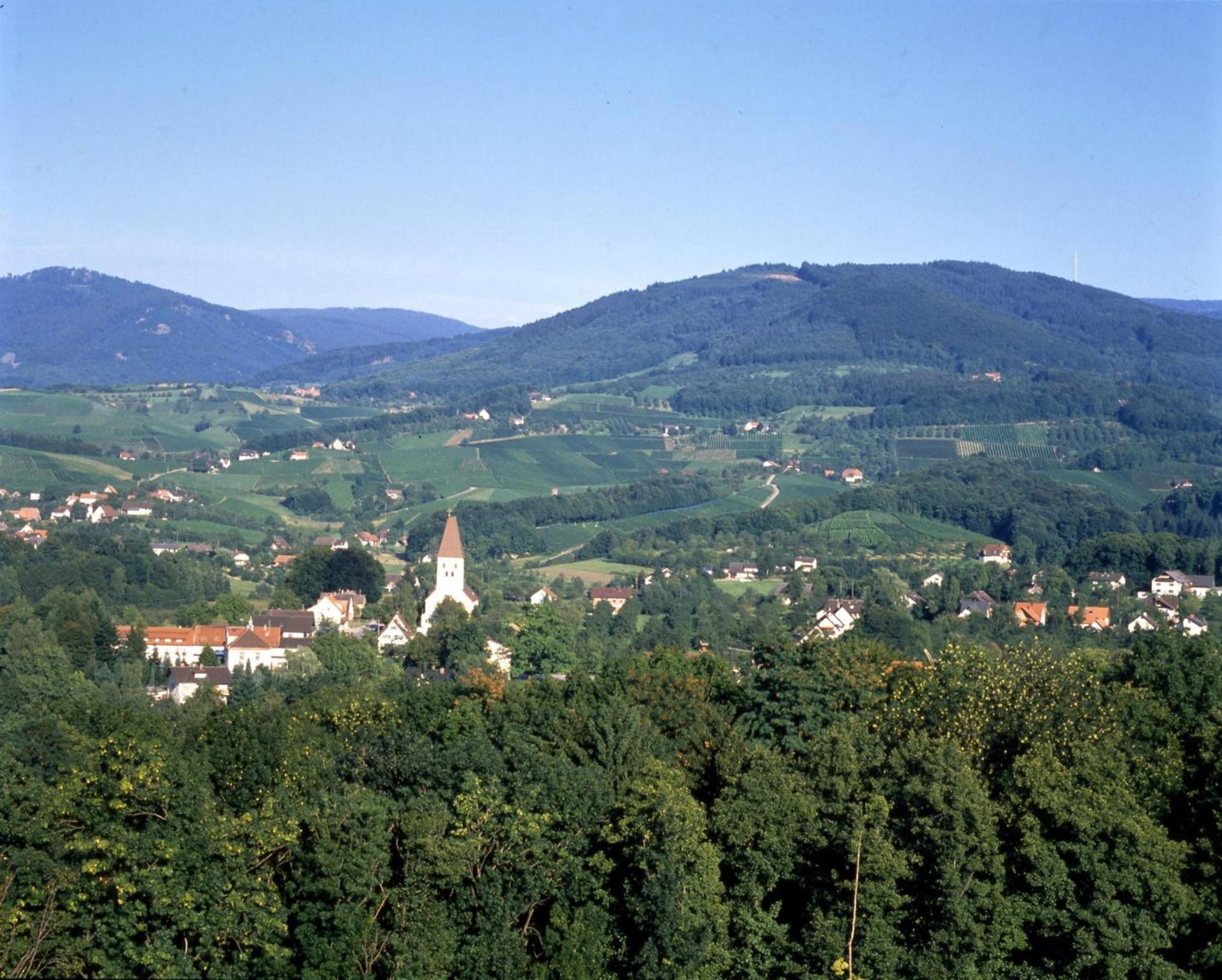 Ferienwohnung Regina Furtwangen Luaran gambar